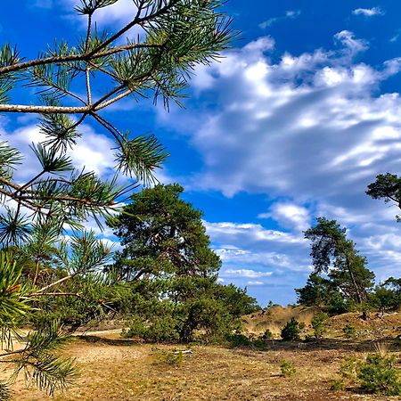 Rode Bosuil: Thuiskomen Op De Veluwe! Отерло Екстериор снимка