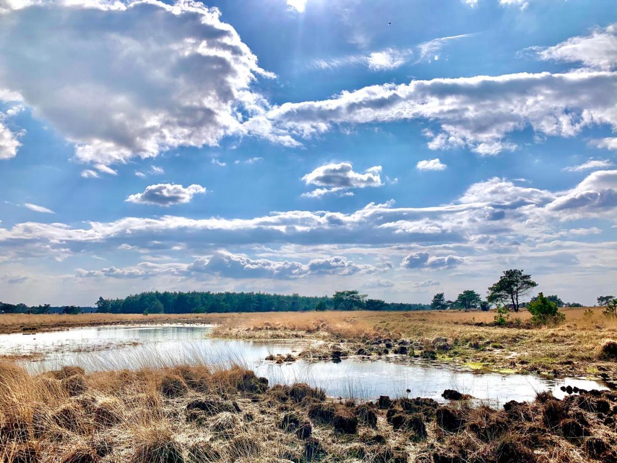 Rode Bosuil: Thuiskomen Op De Veluwe! Отерло Екстериор снимка