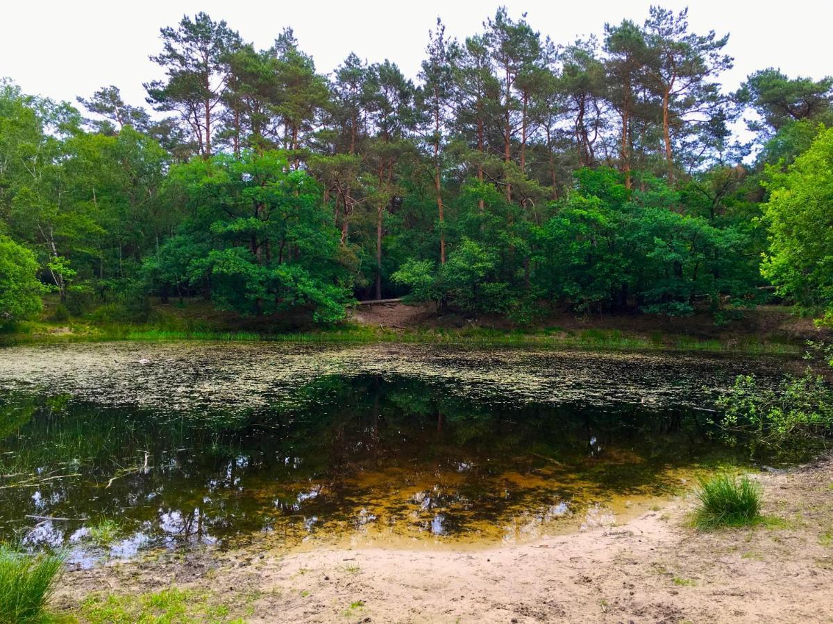 Rode Bosuil: Thuiskomen Op De Veluwe! Отерло Екстериор снимка